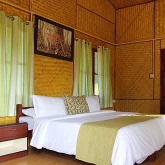 Inn The Wild, Masinagudi 4